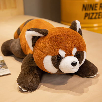  Adorable Coati Plush Toy Collection cashymart