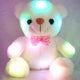 Plush Toy Bear Colorful Glowing Teddy Bear