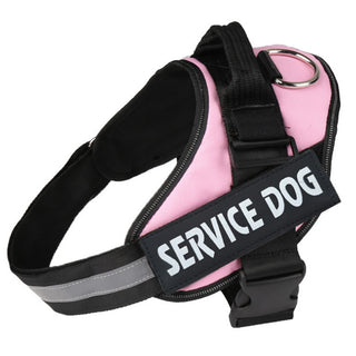  Reflective Nylon Chest Strap for Pet cashymart