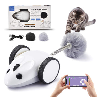  Smart App-Controlled Electric Mouse Cat Toy cashymart