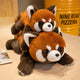 Adorable Coati Plush Toy Collection