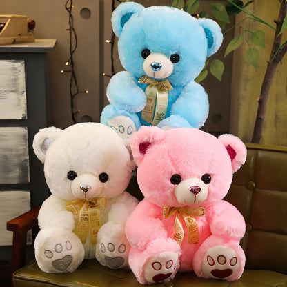  Huggable Heart Teddy Bear Plush cashymart