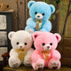 Huggable Heart Teddy Bear Plush