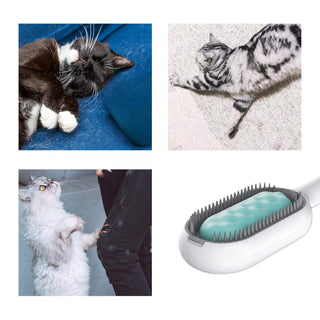  2-in-1 Cat Grooming and Cleaning Brush cashymart