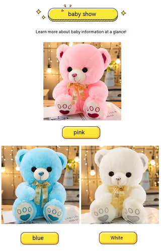  Huggable Heart Teddy Bear Plush cashymart