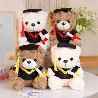  25cm Dr.Bear Plush Toy Graduation Gift cashymart
