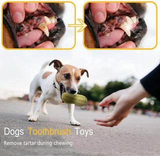  Funny Pet Dog Squeaky Peanut Chew Toy cashymart