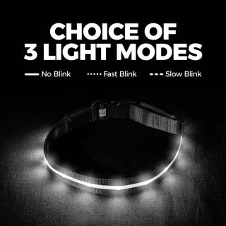 Brightest Light up Dog Collars - the Original LED Dog Collar with 1,000 Feet of Visibility - USB Rechargeable Waterproof Dog Collar Light - Dog Lights for Night Walking - USA Brand