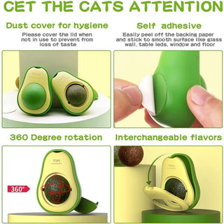  Avocado Catnip Wall Toy for Feline Fun cashymart