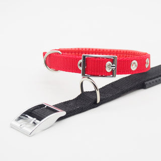  Adjustable Nylon Dog Collars cashymart