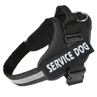  Reflective Nylon Chest Strap for Pet cashymart