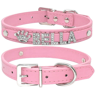  Cat and Small Dog Collar cashymart