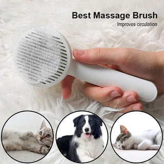  Self Cleaning CN Cat and Dog Grooming cashymart