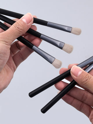  5 Pcs Professional Eyeshadow Brushes Set cashymart