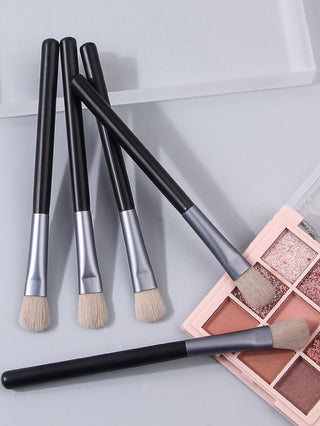  5 Pcs Professional Eyeshadow Brushes Set cashymart