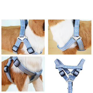  Linen Nylon Alloy Pet Traction Set cashymart