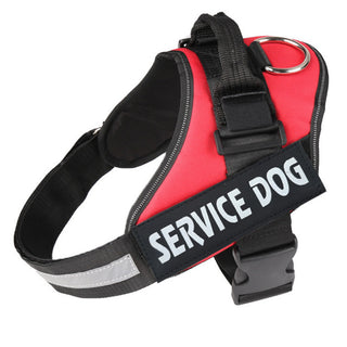  Reflective Nylon Chest Strap for Pet cashymart