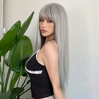  Silvery Grey Dream Wig cashymart