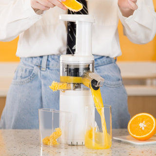  Compact Electric Juicer for Home Use cashymart