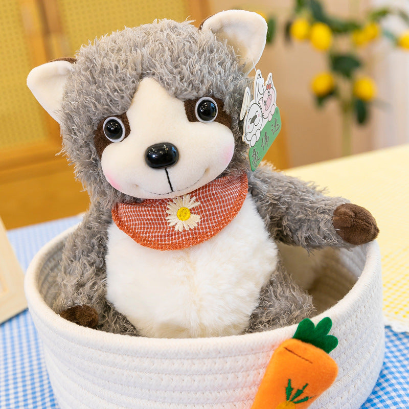  Raccoon Plush Toys cashymart