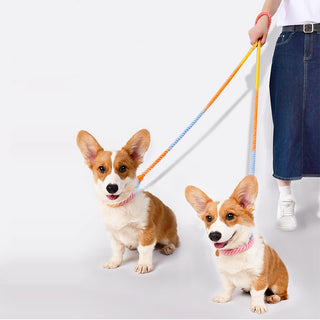  Versatile Double-Ended Dog Leash cashymart