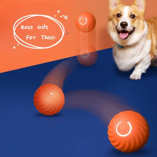  Durable Rubber Ball Toys for Dogs cashymart