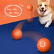 Durable Rubber Ball Toys for Dogs