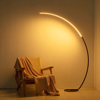  RGBW Curved Floor Lamp cashymart