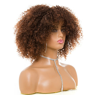  High-Temperature Afro Kinky Curly Hair Wig cashymart