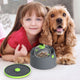Interactive Dog Enrichment Toy with Multiple Functions