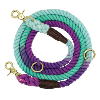  Colorful Gradient Dog Training Leash cashymart