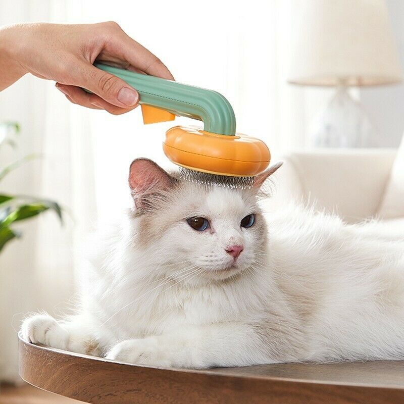  Pumpkin Design Needle Comb for Dog and Cat Grooming cashymart