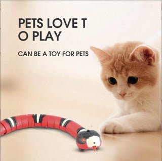  Interactive Smart Sensing Snake Cat Toy cashymart