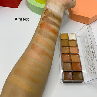  12 Color Contouring Concealer cashymart