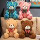 Teddy Bear Doll Ragdoll Plush Toy