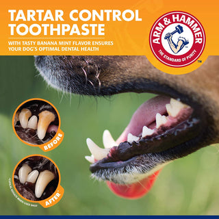 for Pets Tartar Control Kit for Dogs Contains Toothpaste, Toothbrush & Fingerbrush Reduces Plaque & Tartar Buildup, 3-Piece Kit, Banana Mint Flavor (Pack of 1)