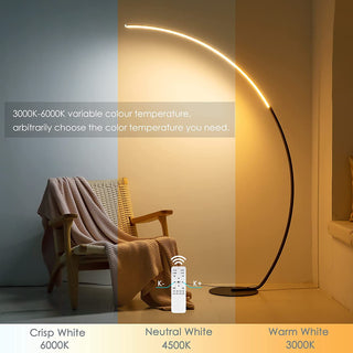  RGBW Curved Floor Lamp cashymart