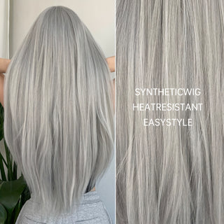  Silvery Grey Dream Wig cashymart