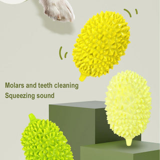  Durable Durian Pet Chew Toy cashymart