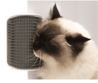  Cat Self-Grooming and Massaging Brush cashymart