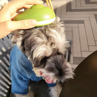  Lemon-Shaped Pet Grooming Comb cashymart