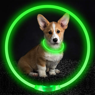  USB Rechargeable Safety Pet Collar cashymart