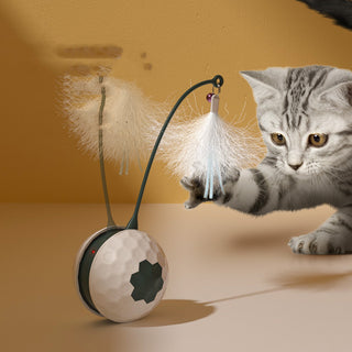  Electric Interactive Cat Toy cashymart