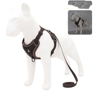  Reflective Vest-Style Harness for Small to Medium Dogs cashymart