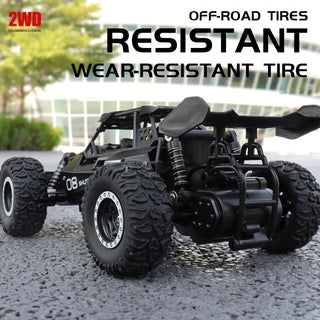  High-Speed 1:16 Alloy RC Car cashymart