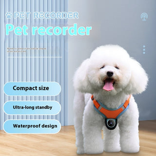  Pet Tracker Collar Dogs And Cats  Recording Camera cashymart