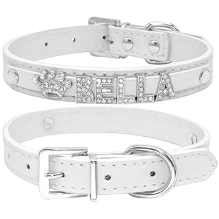  Cat and Small Dog Collar cashymart