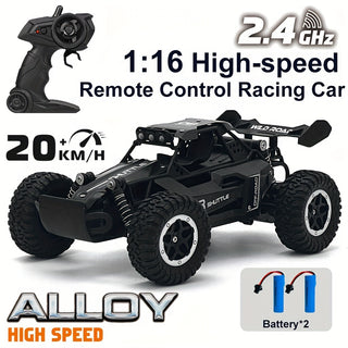  Turbocharged 1:16 RC Race Car cashymart