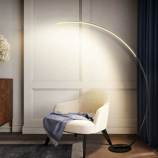  RGBW Curved Floor Lamp cashymart