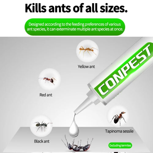  Ant Bait cashymart